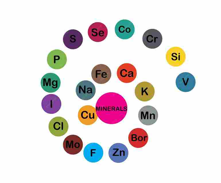 Low Potassium Levels: Causes, Symptoms, T...