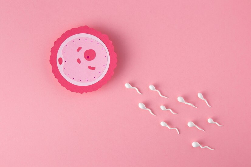 What You Should Know About Fertility: Inc...