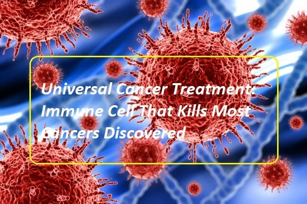 Breaking: Universal Cancer Treatment - Immune Cell That K...